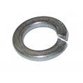 Stainless Split Lock Washers